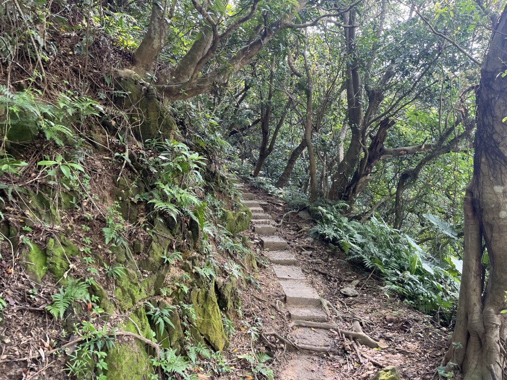 2024_0804 文間山_2566391