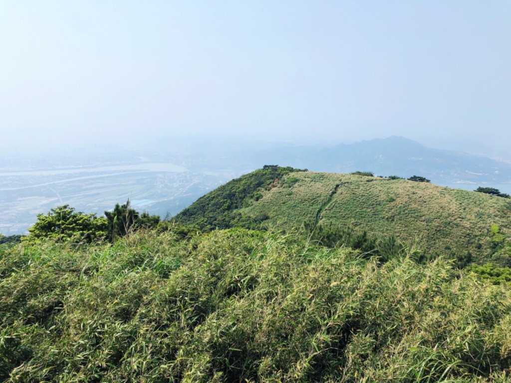 面天山-向天山封面圖