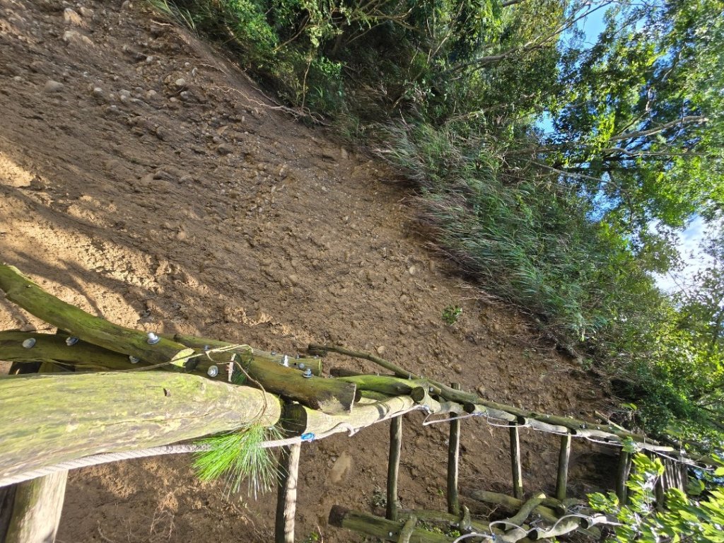 台中大坑四號登山步道（毀損）_2563661