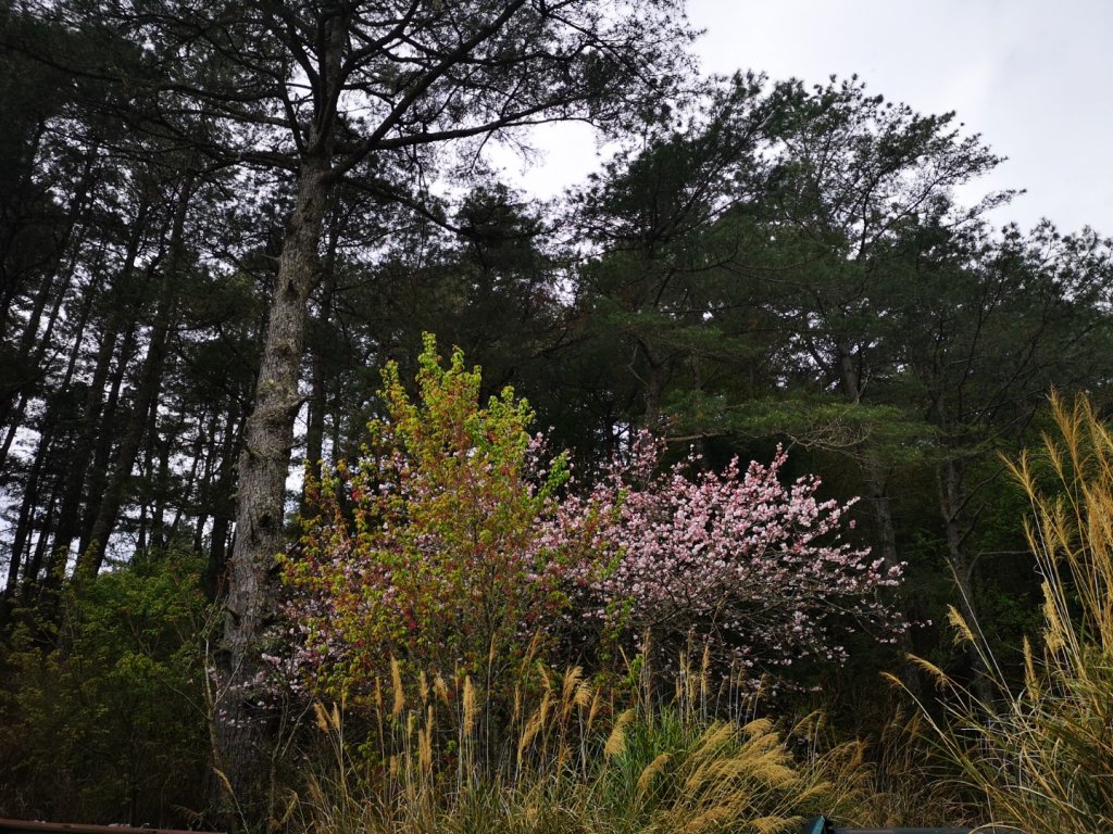 巴庫拉斯，七彩湖_1339060