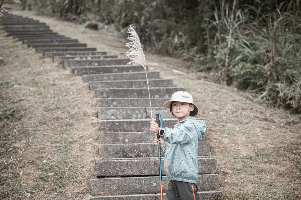 菅芒浪白｜五分山_2356505