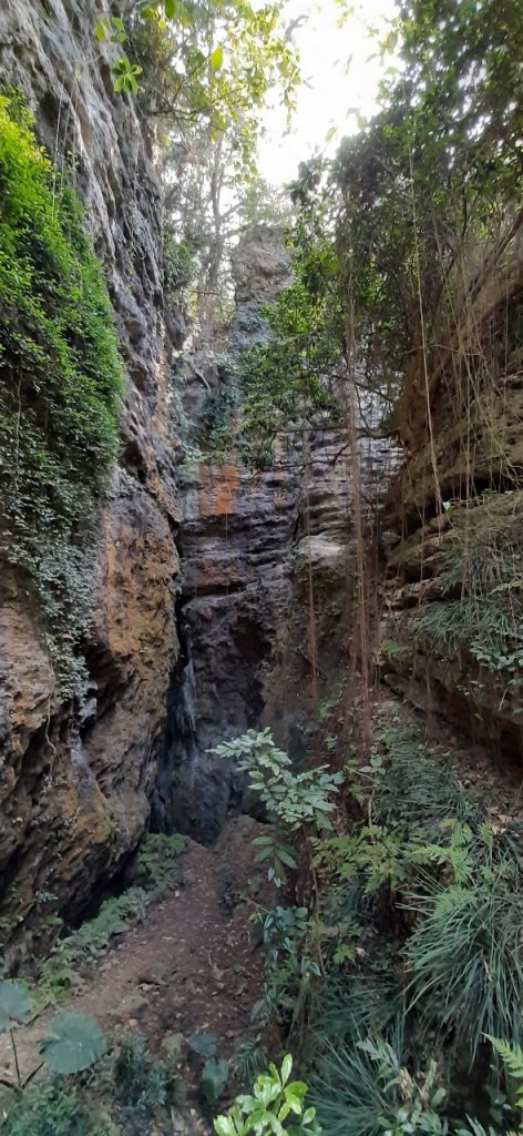 柴山石灰岩洞穴探險、泰國谷、一簾幽夢_1578171