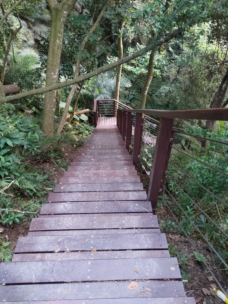 【新竹縣峨嵋鄉】藤坪步道_2833240