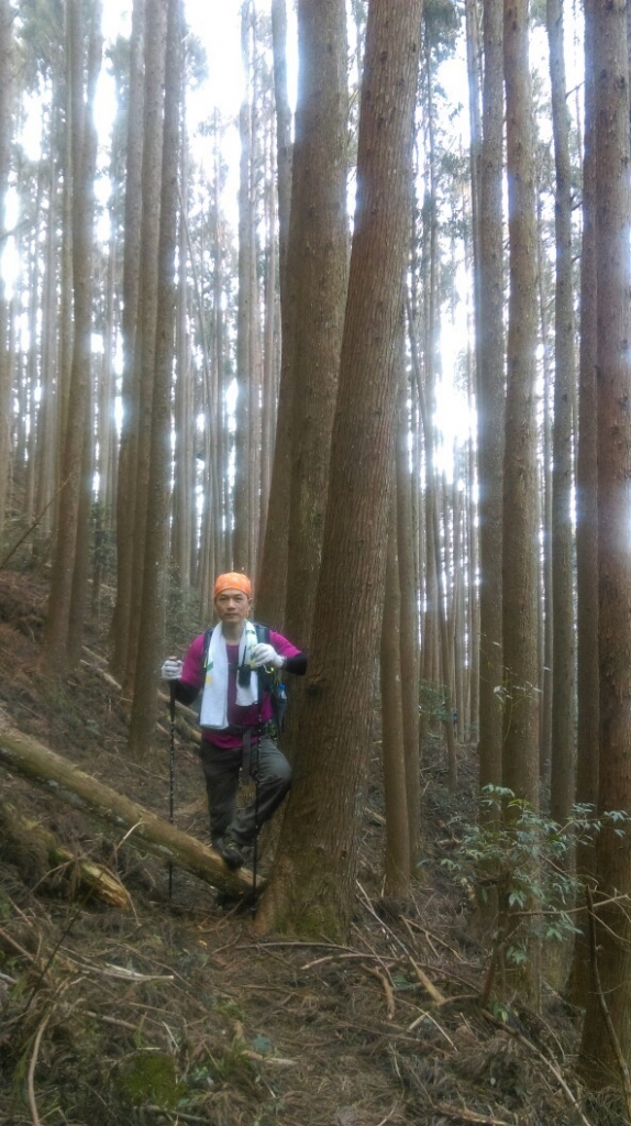 20160305新竹五峰大窩山,比林山_31672