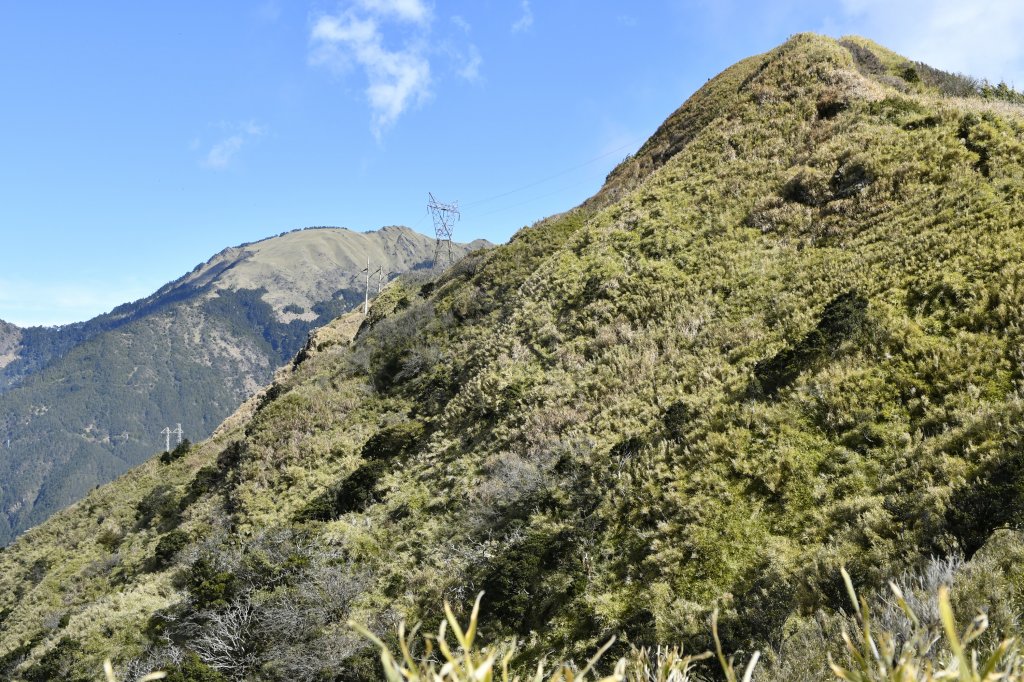 尋一段老獵路：深堀山西南稜（順訪卡賀爾山）_916755
