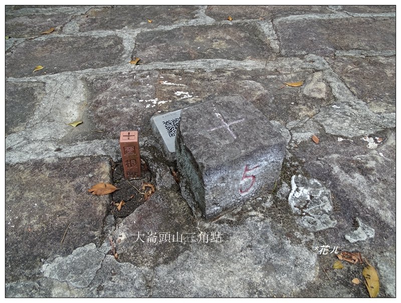 大崙頭尾山(小百岳)_657728