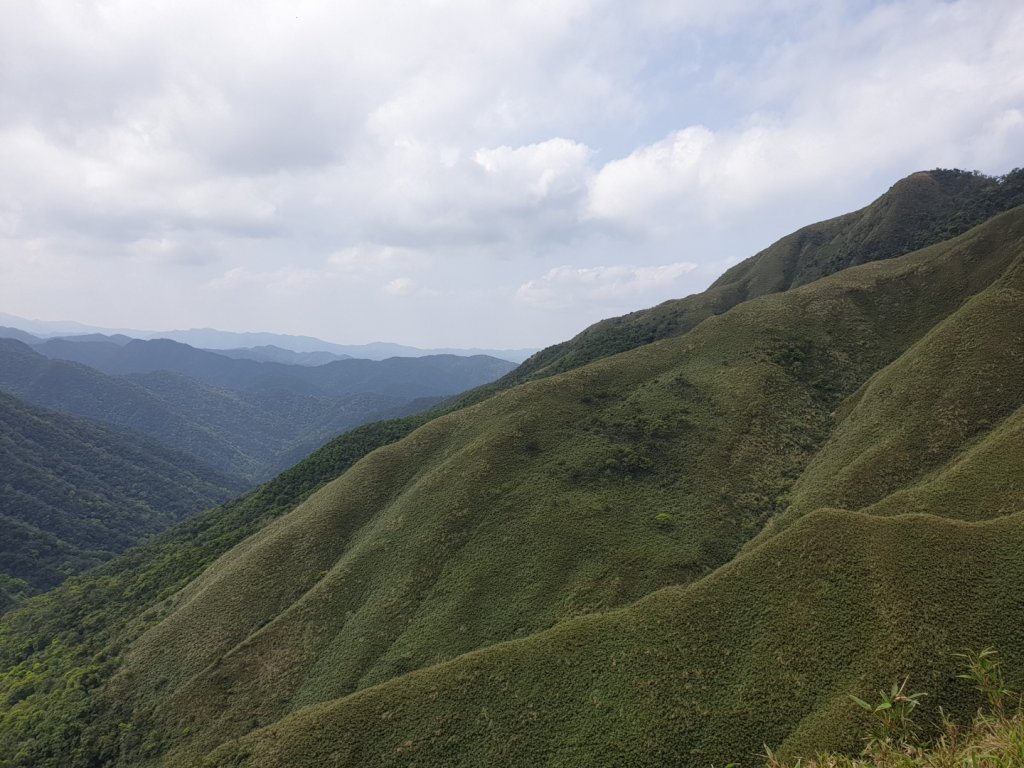 20220319抹茶山封面圖