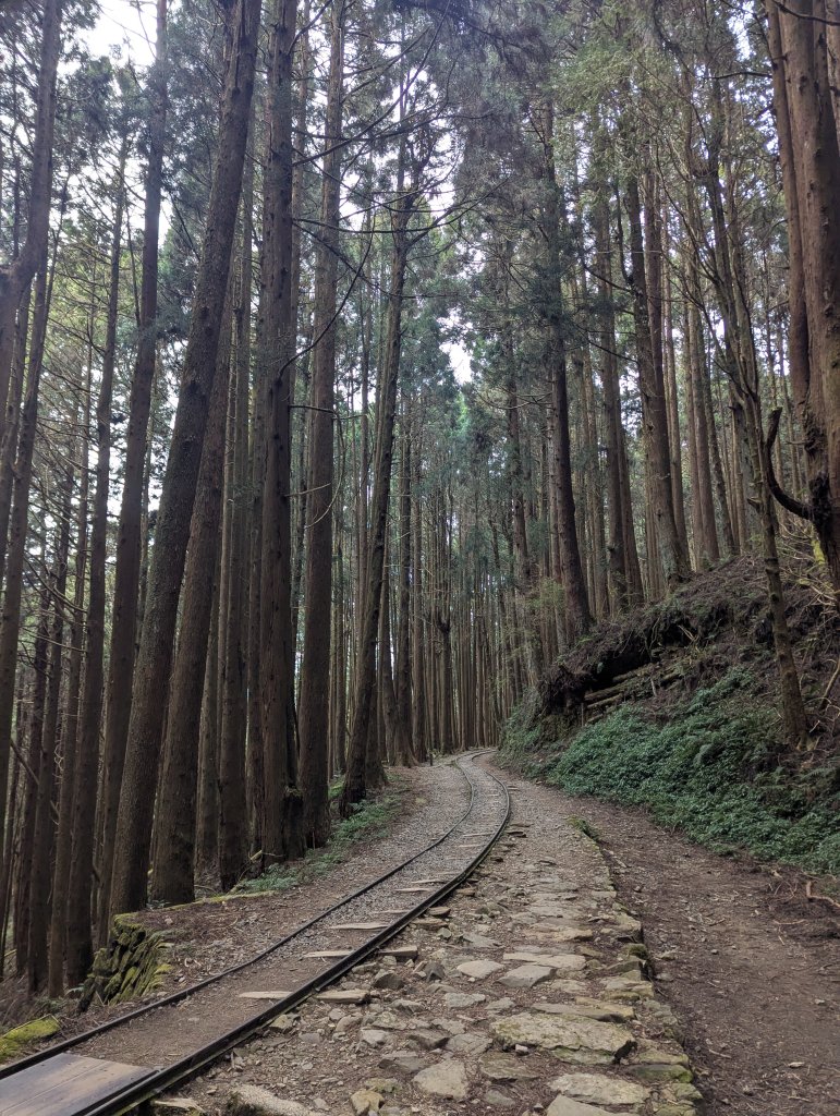 2026.02.14－特富野古道_3013739
