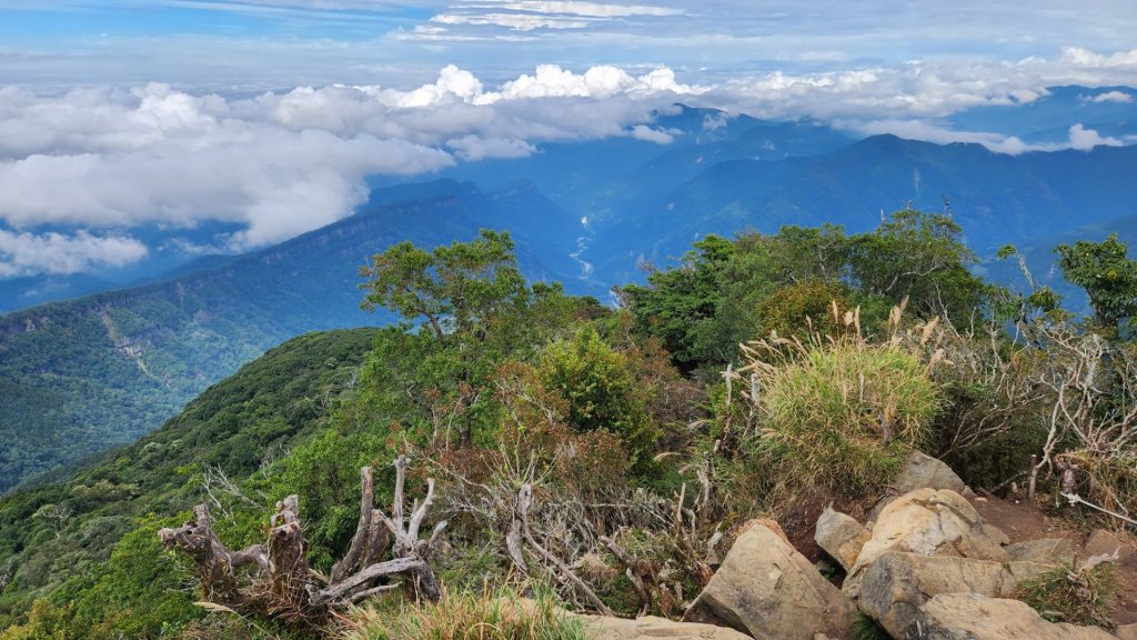 加里山，橫龍山，騰龍山，橫龍古道，鳥嘴山（上島山），南十八尖山，崎頂子母隧道，青青草原_1885676