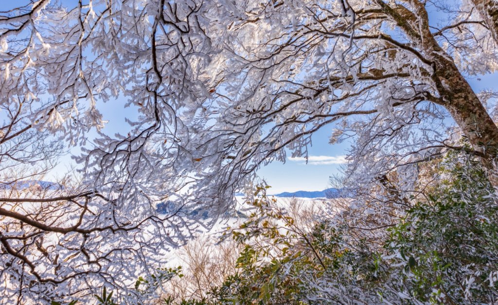 北得拉曼霧淞_1963081