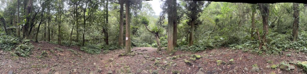 20231029熊空林道_2354611