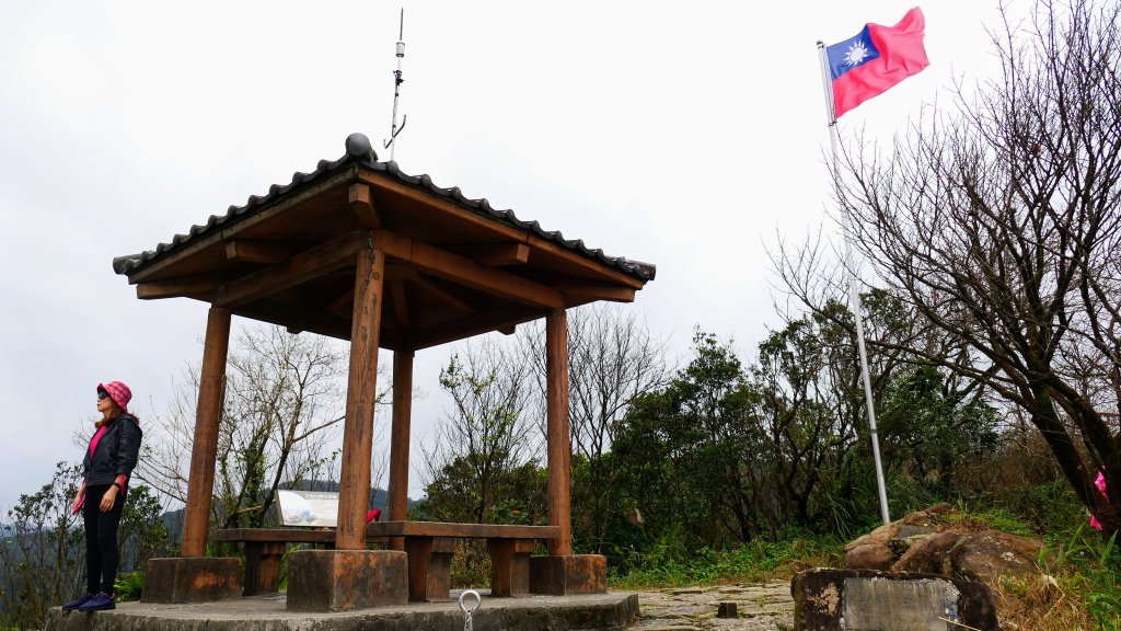 這裡怎麼有兔子還有藍腹鷴?_2663305