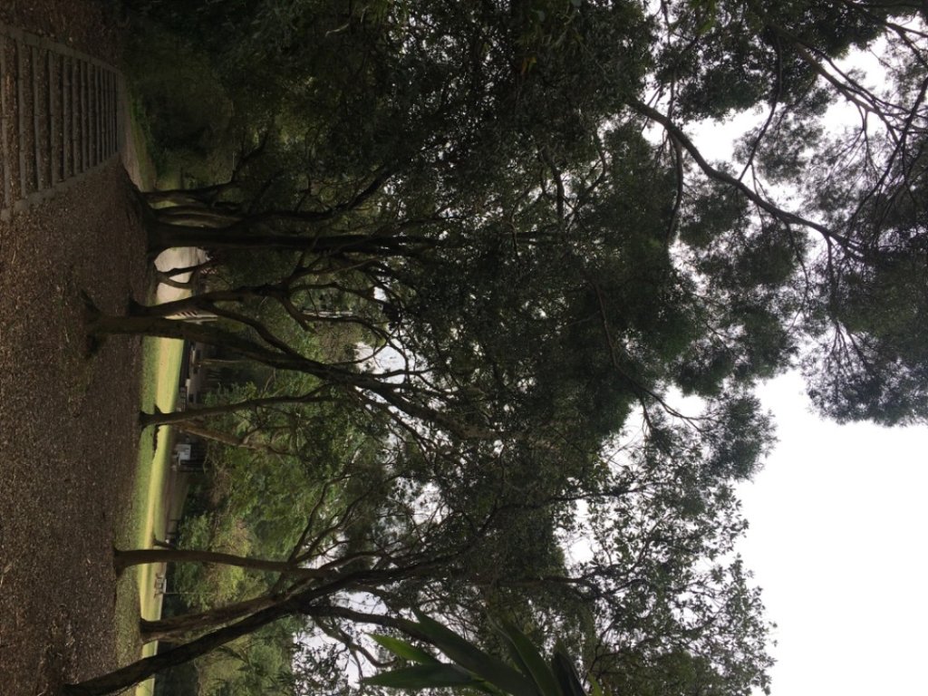 五酒桶山、南崁山_2693330