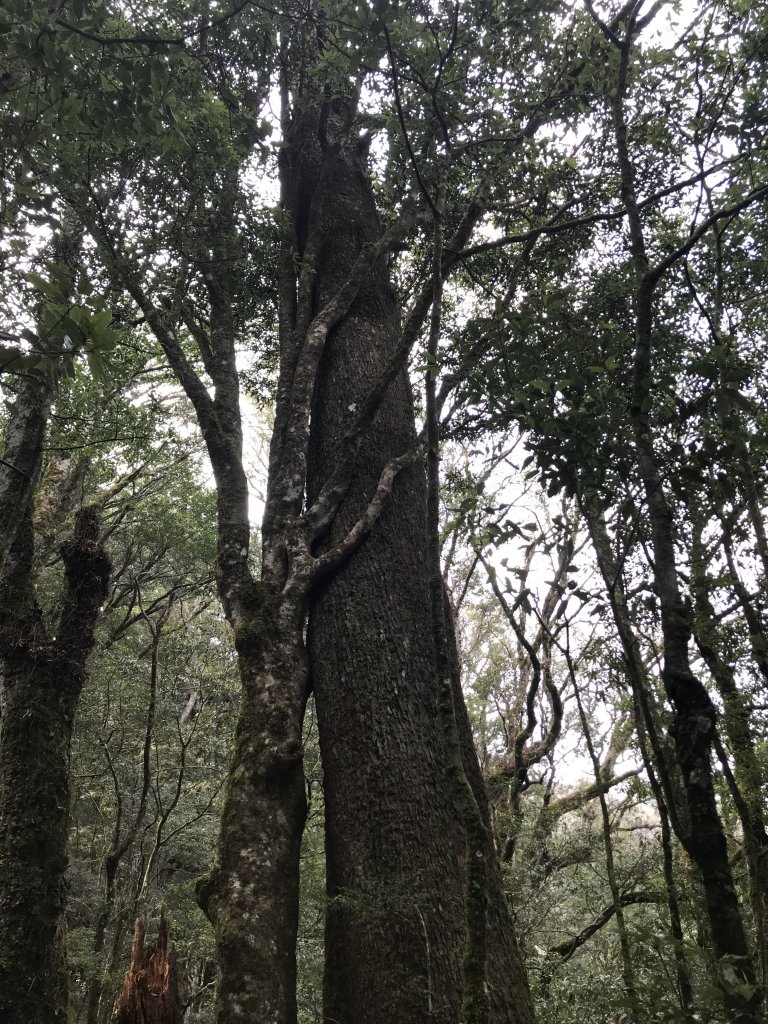 霞喀羅大山,佐藤山順訪佐藤駐在所_1324598