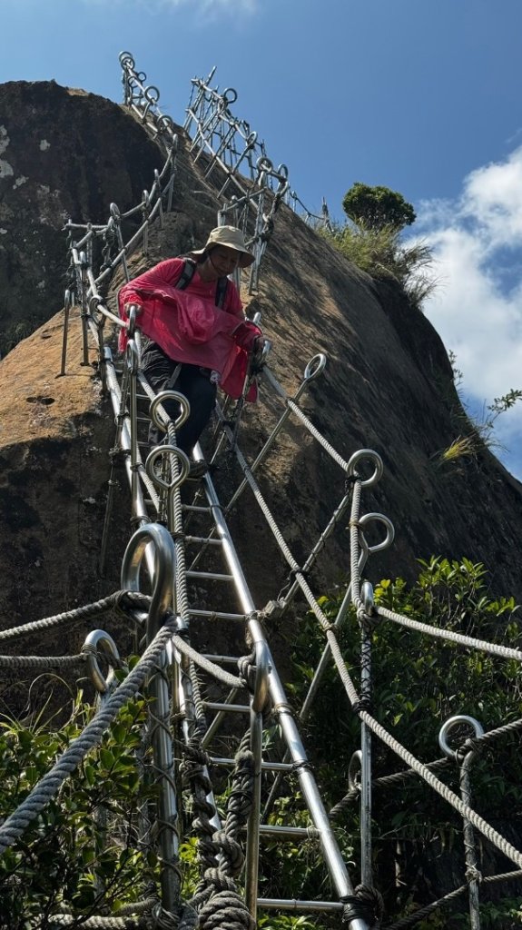 孝子山、普陀山、慈母峰賞鹿子野百合O走_2592908