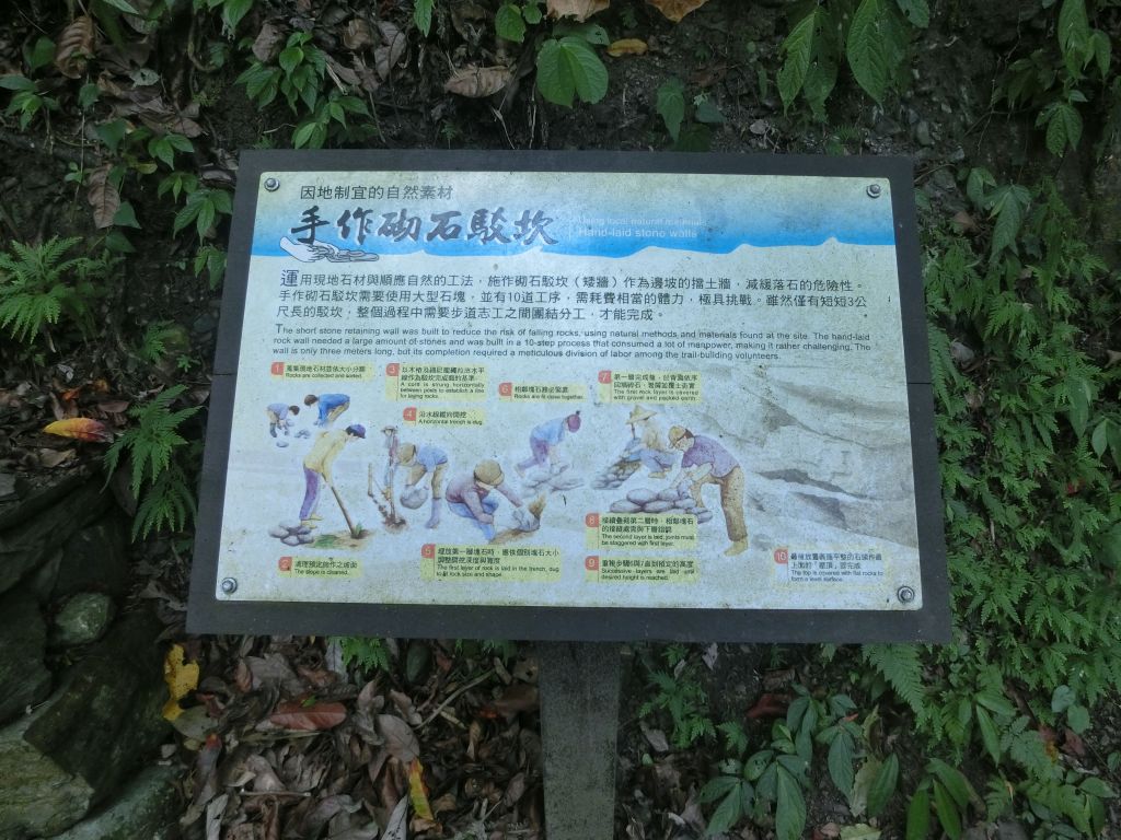 鳩之澤自然步道_380127