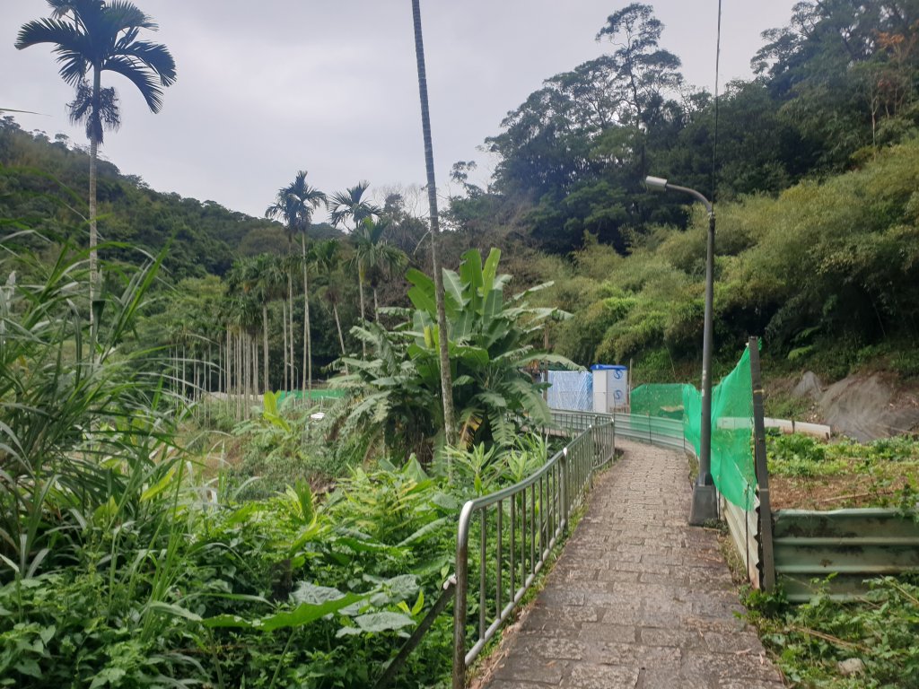 臺北大縱走第六段_1516069