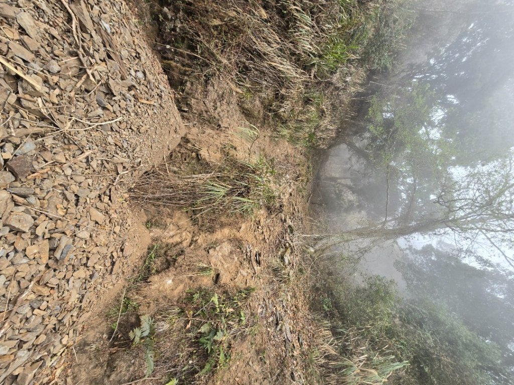 郡大神木群一日行_2440636