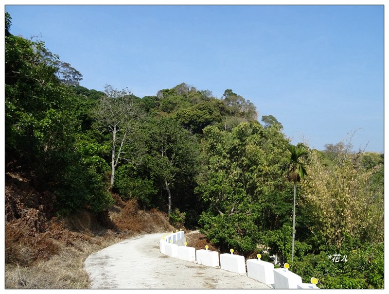 廍仔坑山/台中-太平_1283651