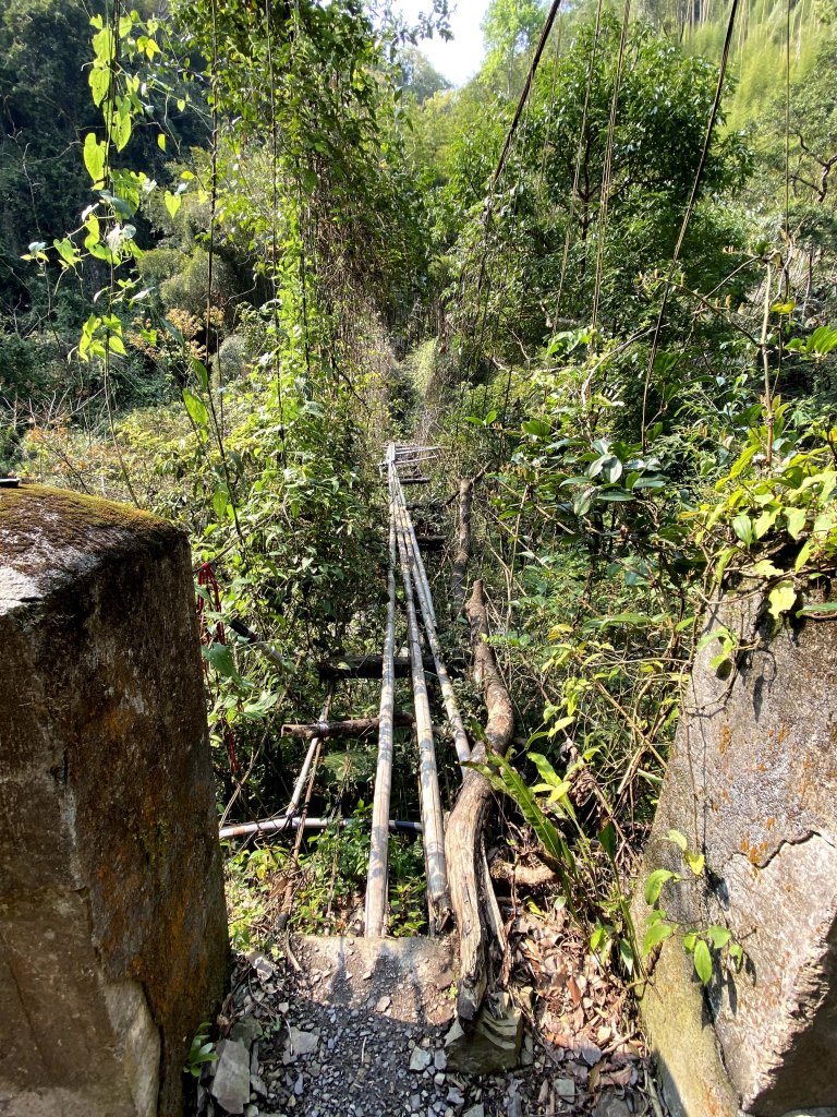 老鷹溪步道封面圖