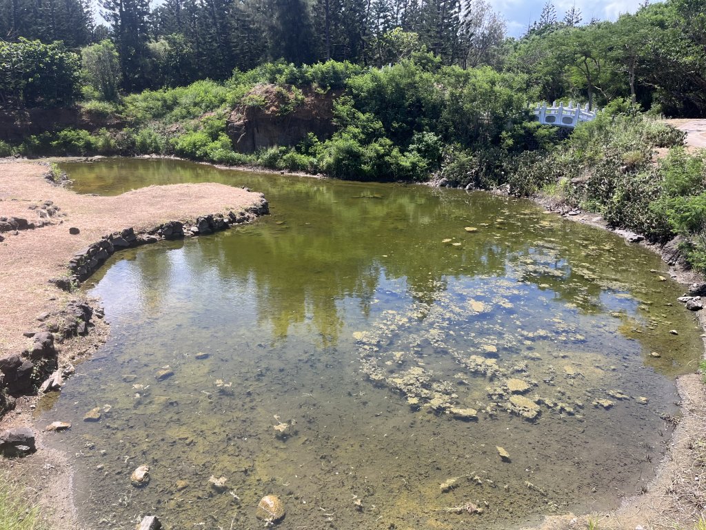 2024_0629 拱北山(澎湖第一高峰)_2539494