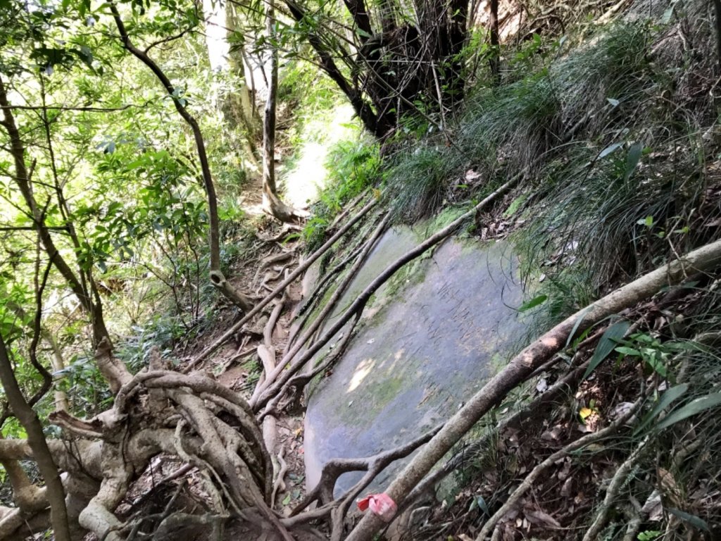 五寮尖上大風狂_448958