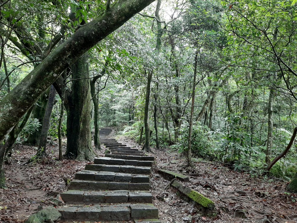 夢幻路線。感受四季倒著走的變化_977184