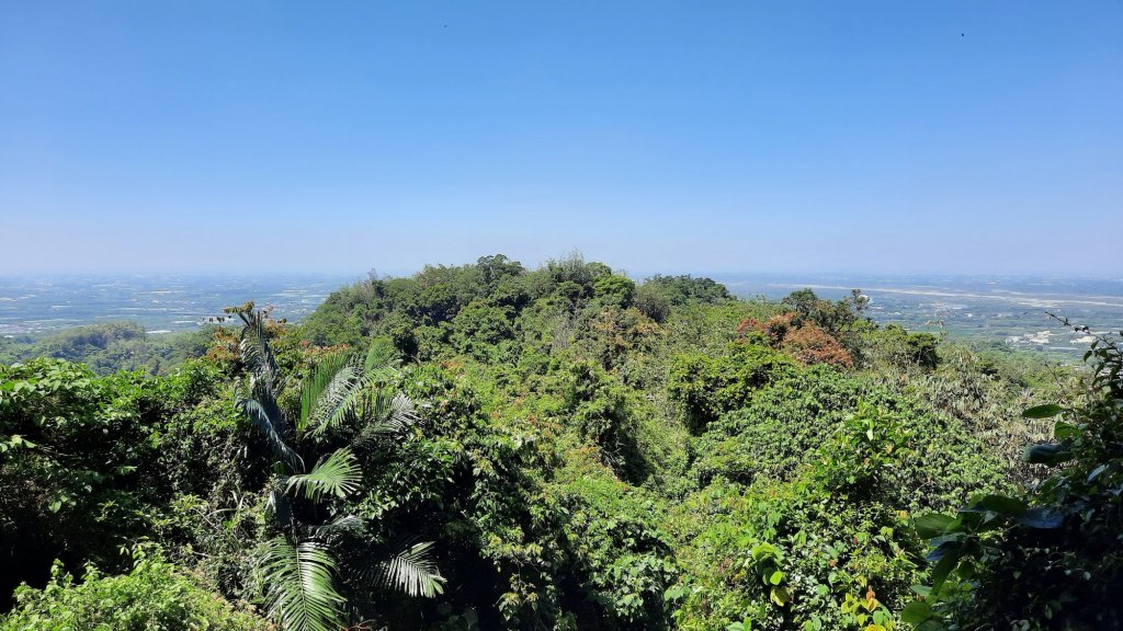 《雲林》紫斑蝶廊道｜龍過脈森林步道20220404_1662228