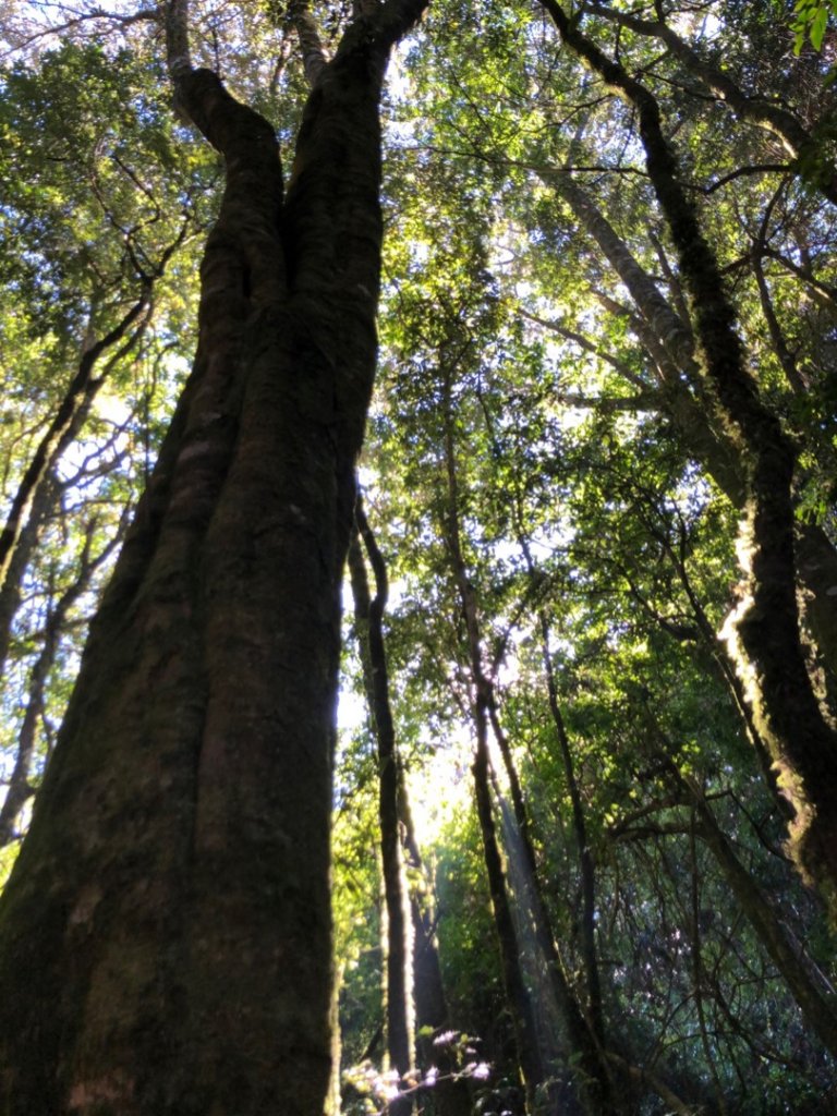 稍來山、船型山O走_1970191