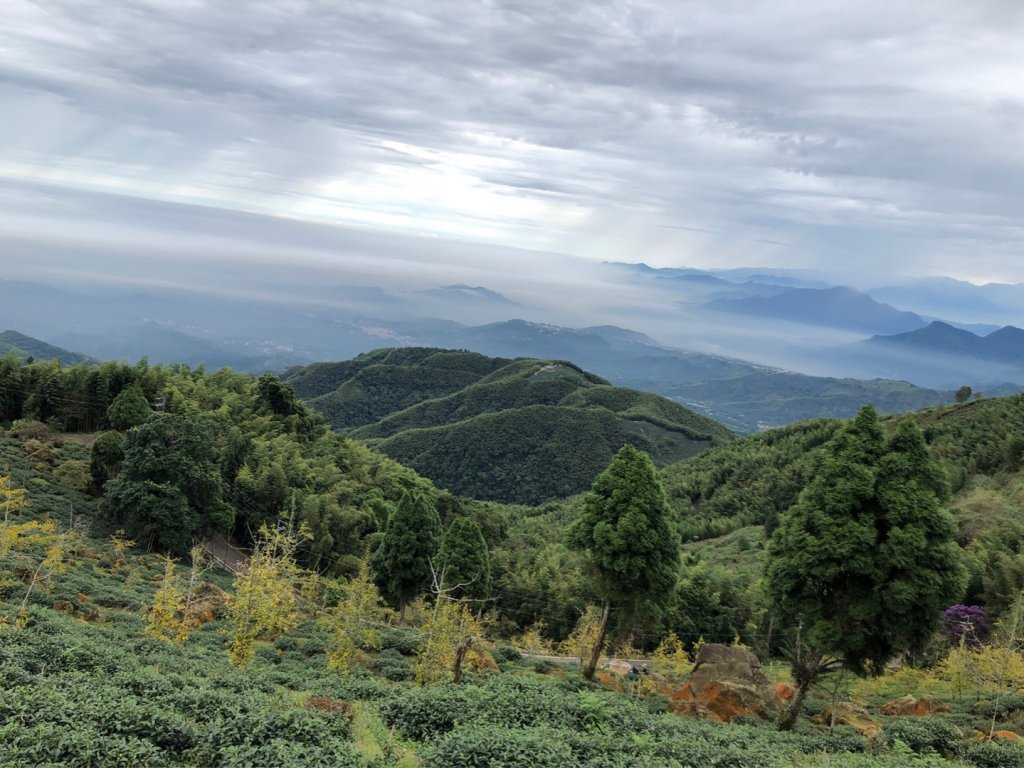 貓空望山、嶺頭山、金柑樹山（小百岳）、忘憂森林_1897010