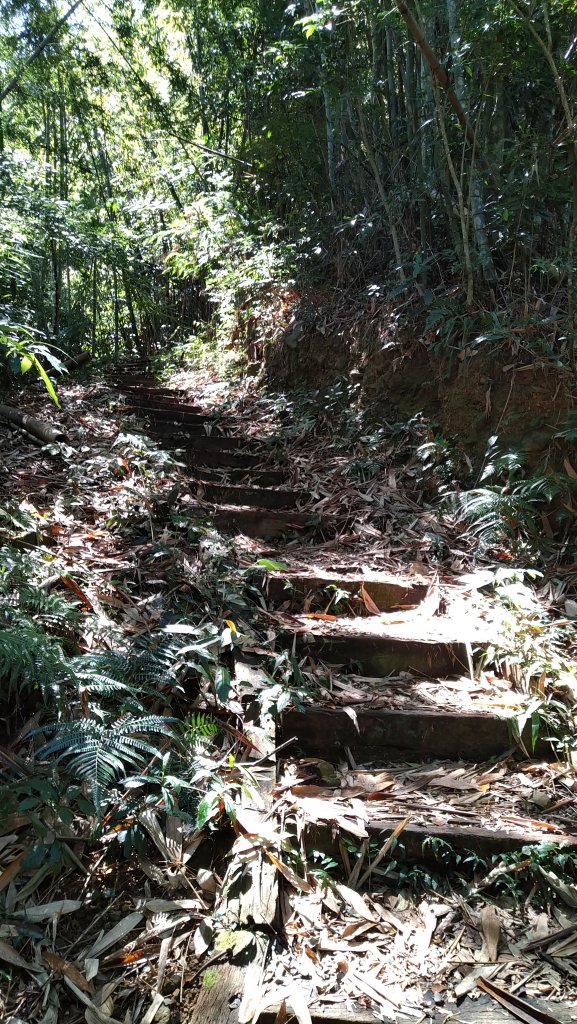 2019.9.29後尖山步道之旅_1411236