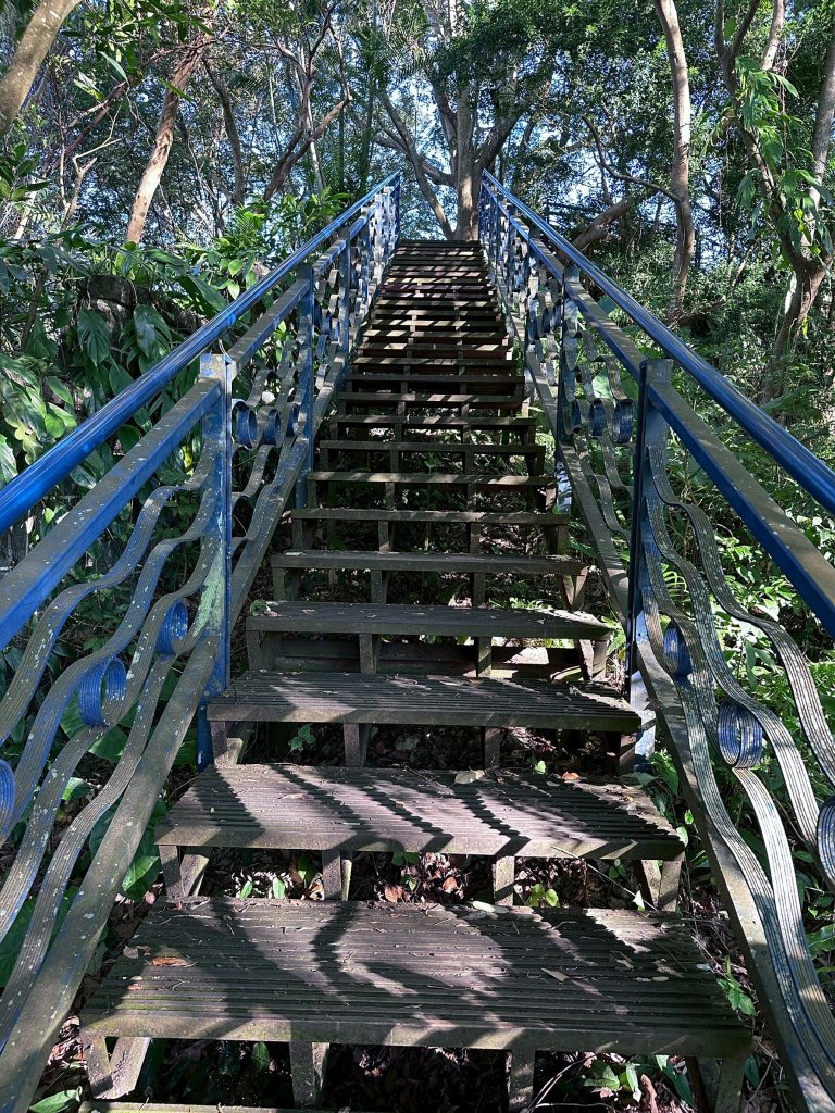 和美山螢火蟲段_2873330