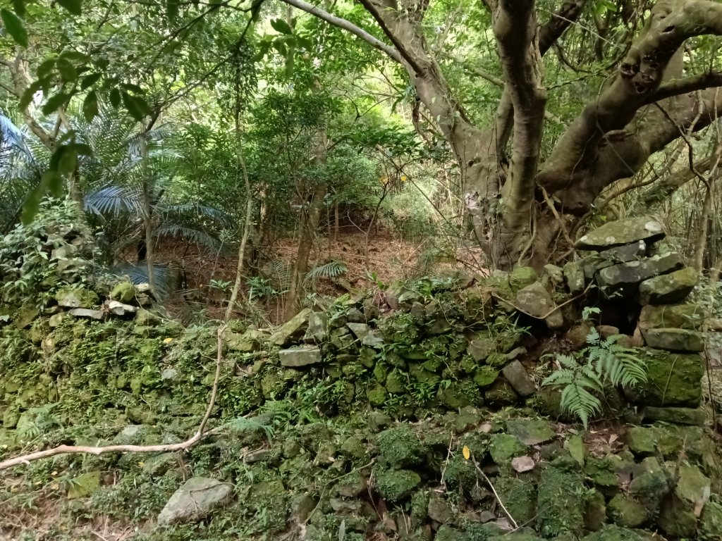 貢寮區龍洞坑古道+苦苓嶺+南雅山+海園古道O型_2954637