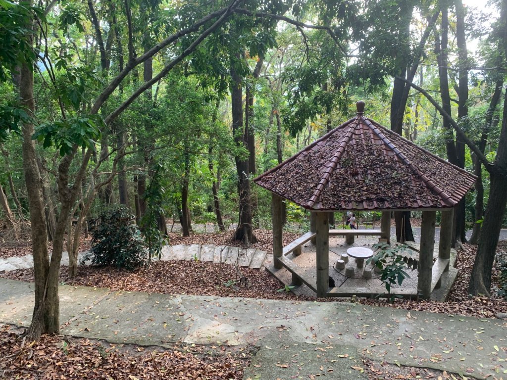 阿罩霧山、中心瓏步道_2768980