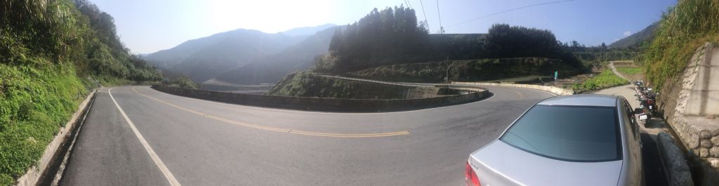 米羅山之木_292699