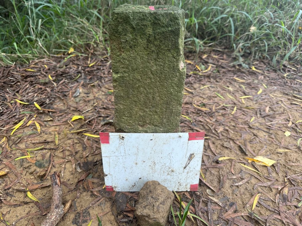 苗栗三灣-龍峎頂古道_2623350