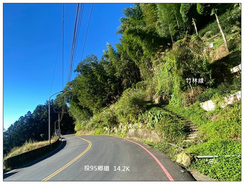 嶺頭山、金柑樹山、忘憂森林 O型一圈_2944765