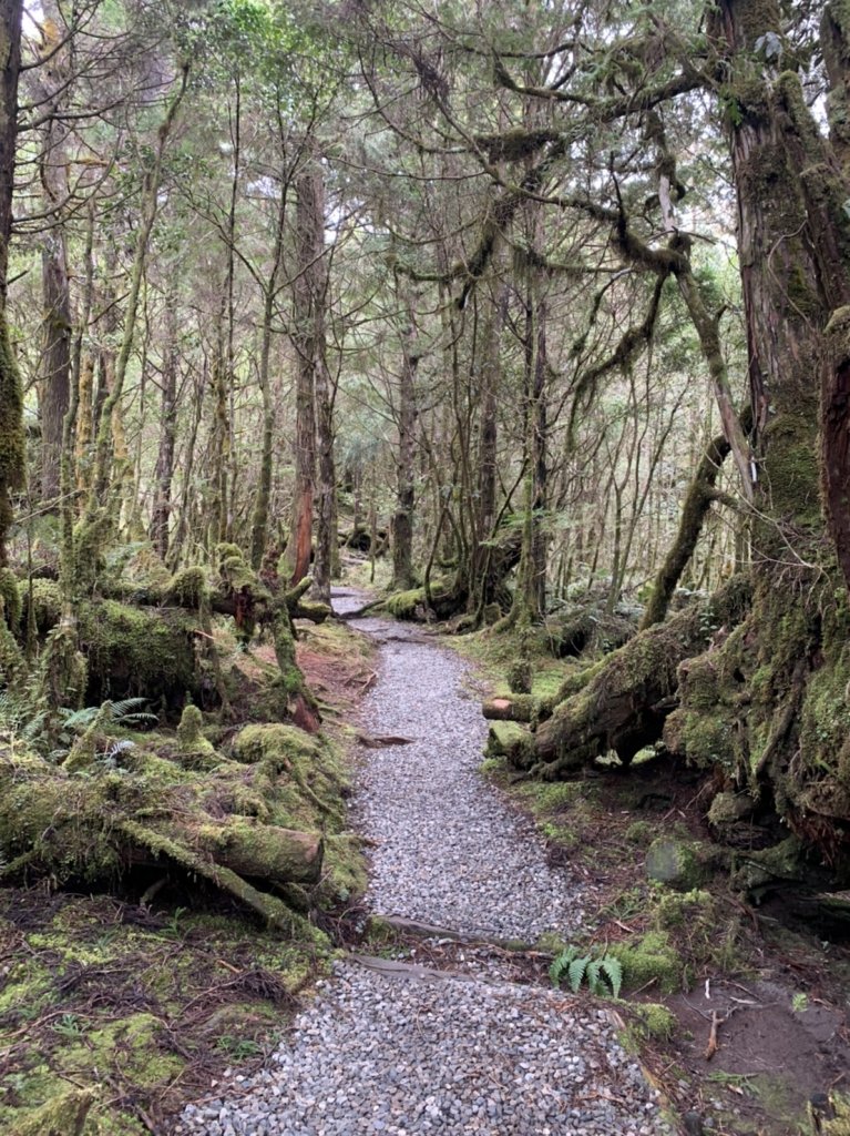 20220228翠峰湖環湖步道_1635654