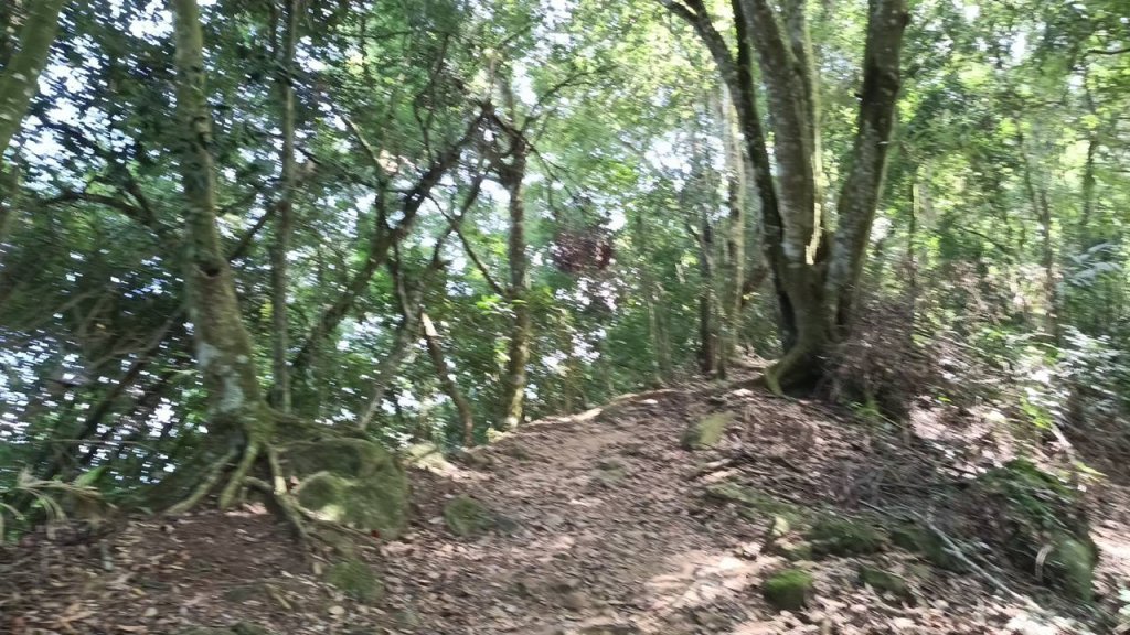 20251004 馬那邦山 - 珠湖 登山口_2904924