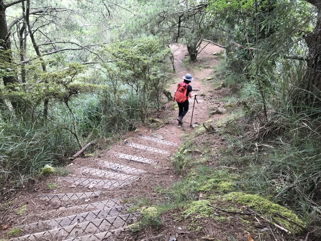 東埔山步道_169748