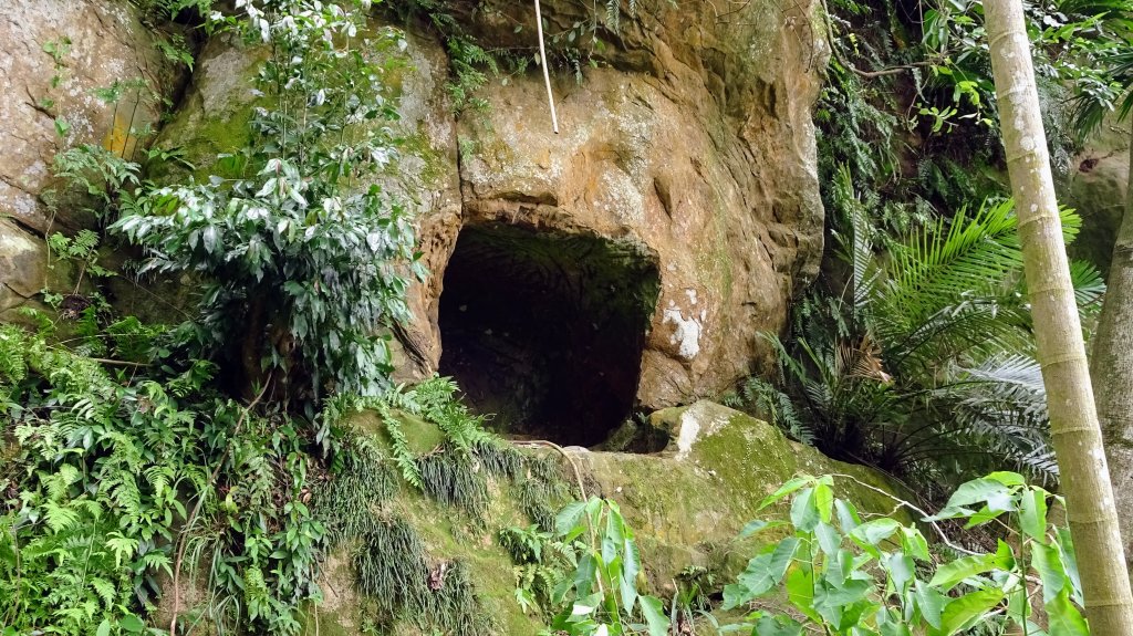 樹梅古道,不二法門_2240066
