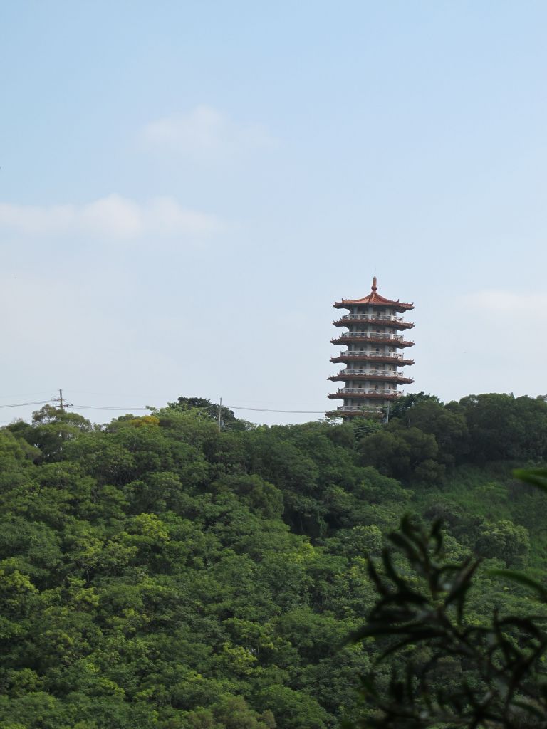 2018-06-28台中大肚環保公園步道_358056