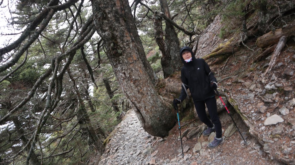 玉山主峰登山健行趣(百岳01號)_2041518