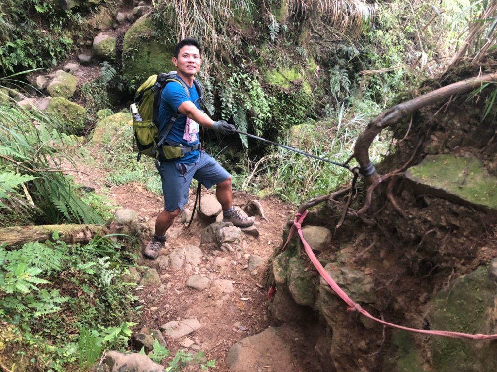 鹿屈山.水漾森林_1405011