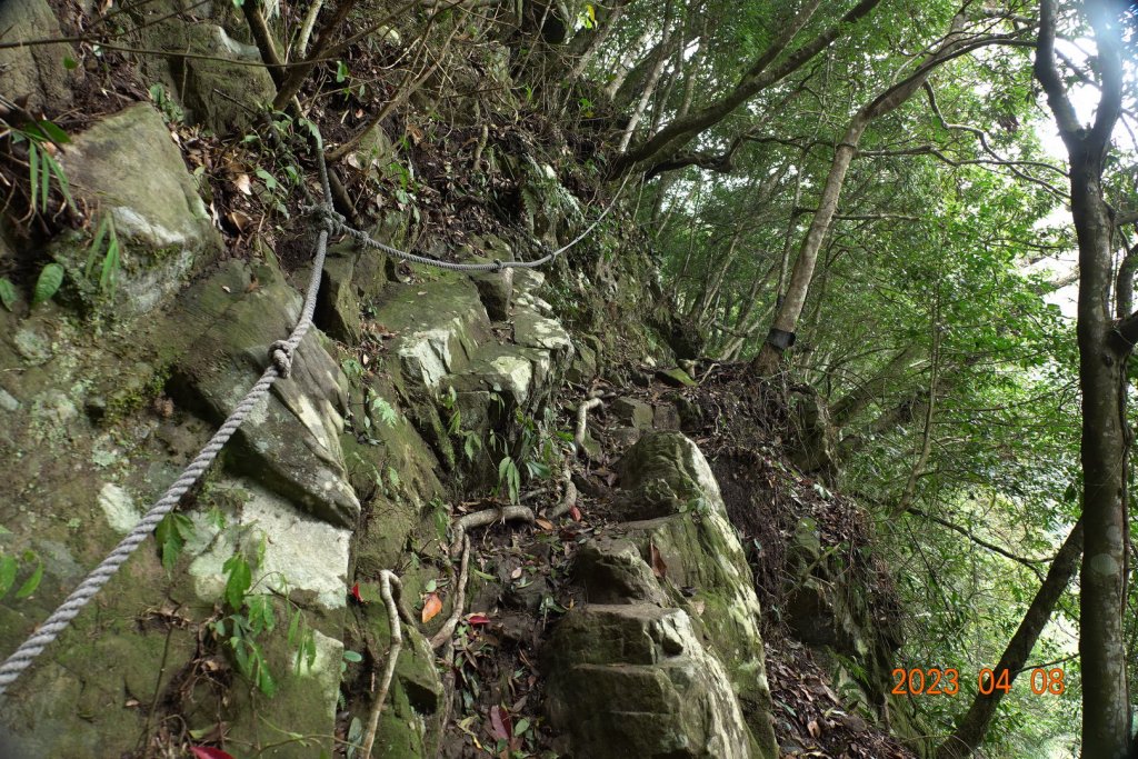 苗栗 泰安 上島山(鳥嘴山)_2108224