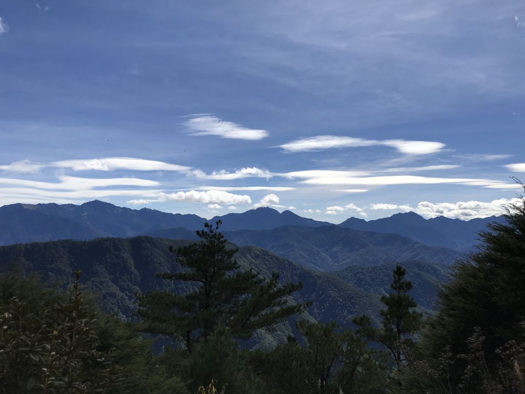 訪一株傲視風霜、獨立卓然的樹—池有品田_207760