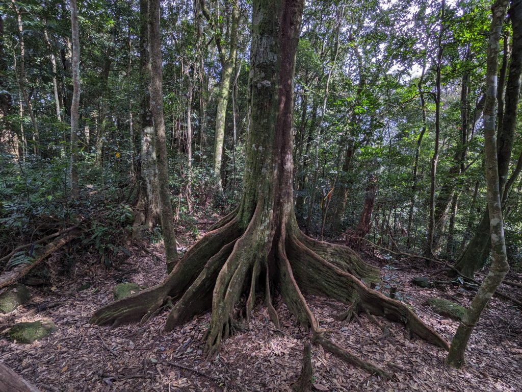 貴妃山那結山外鳥嘴山_2630854