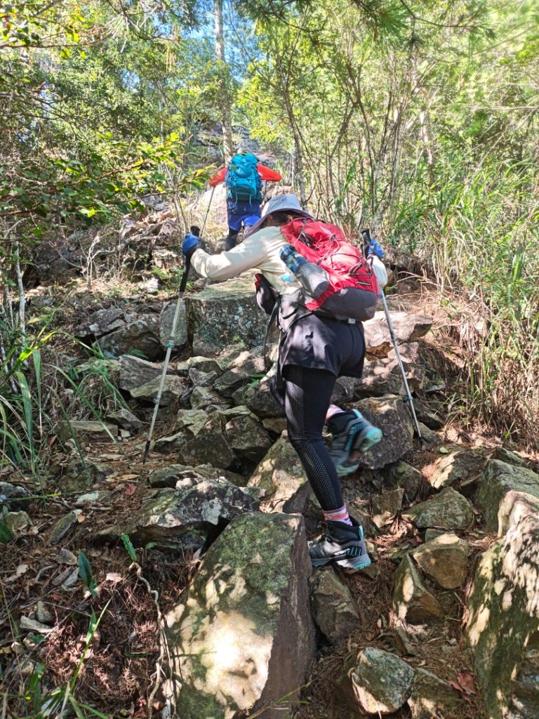 阿冷山 谷關第八雄_2877398