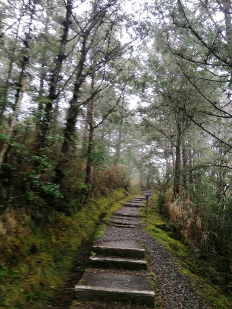 20210307宜蘭太平山翠峰湖環山步道封面圖