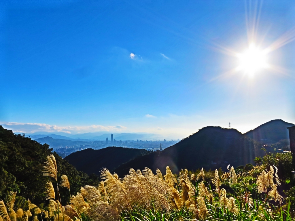 台北內湖碧山路步道_96094